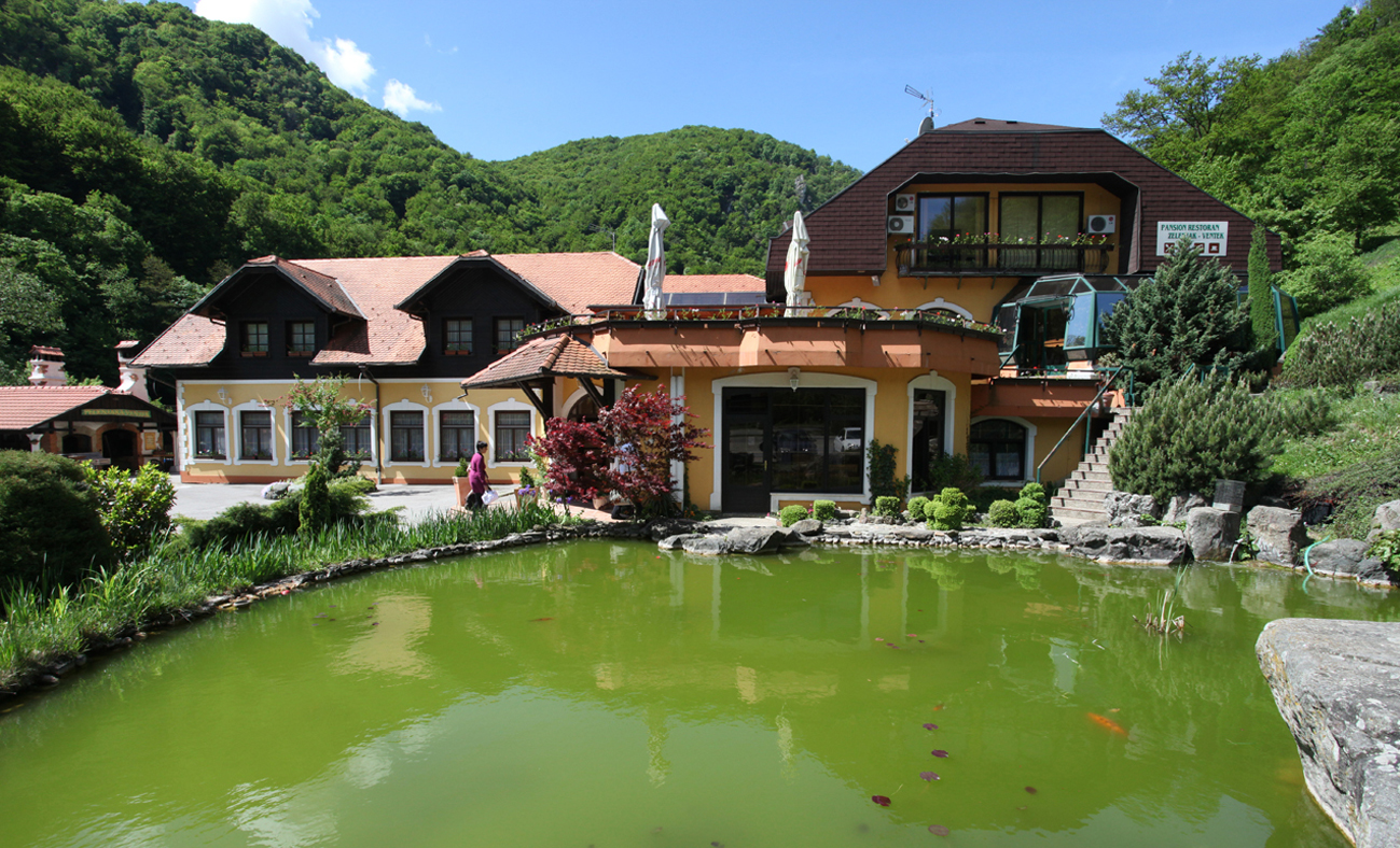 Villa Zelenjak - Ventek