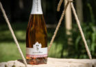 vina-Sanabor gourmet degustacija vino domače tradicija prigrizek oddih primorska