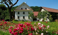 darilni_paketi_turisticna_kmetija_zelinc_cerkno_1