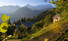 turistična_kmetija_perk_prva-web