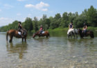 Šola jahanja in trening konj, Mojca Kolenc