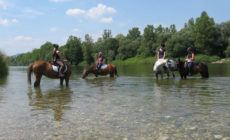 darilni_paketi_sola_jahanja_mojca_kolenc_ljubljana_1