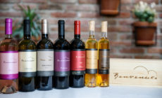 darilni_paketi_benvenuti_vina_slika_1