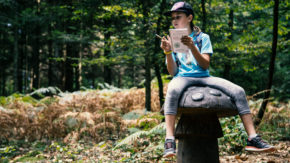 Škrateljc adrenalin doživetje park otroci družina zabava škrati pravljica gozd narava
