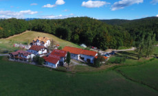 hudicevec-prva-web