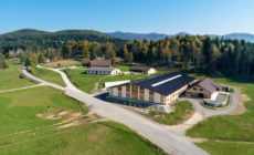 ranch-marina-prva-web