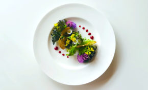 Restavracija 2864 Bohinj gourmet restavracija kulinarika moderno a-la-carte