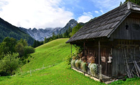 kmetija Gradišnik turizem gourmet narava gozd oddih sprostitev domače