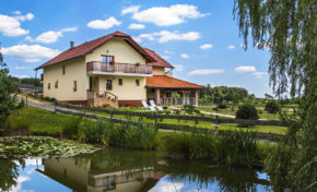 Nočitev in druženjem z alpakami na turistični kmetiji Mali raj