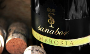 metija-Sanabor Kras degustacija vin primorska gourmet tradicija vino prigrizek