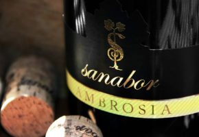 Kmetija Sanabor - Degustacija vin s krožnikom pršuta in sira za dve osebi