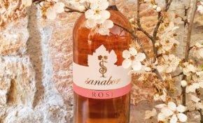 vino Sanolabor gourmet degustacija vinska klet vinogradništvo doživetje prigrizek
