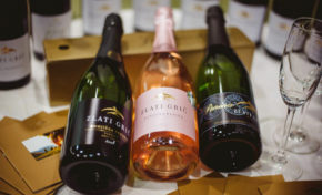 vino Zlati-grič degustacija prigrizek štajerska domače lokalno tradicija