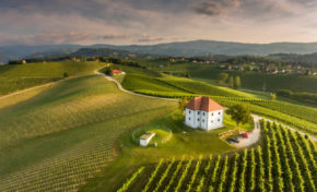 Nočitev s penino na vinogradniškem dvorcu Zlati Grič za 4 osebe