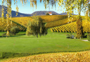 Zlati-grič turizem narava vinska-klet degustacija gourmet golf kultura