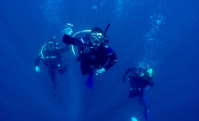 Začetni potapljaški tečaj Padi Open Water Diver
