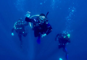 Začetni potapljaški tečaj Padi Open Water Diver