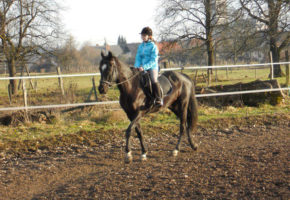 Pr-kral jahanje šport konji živali zabava otroci doživetje