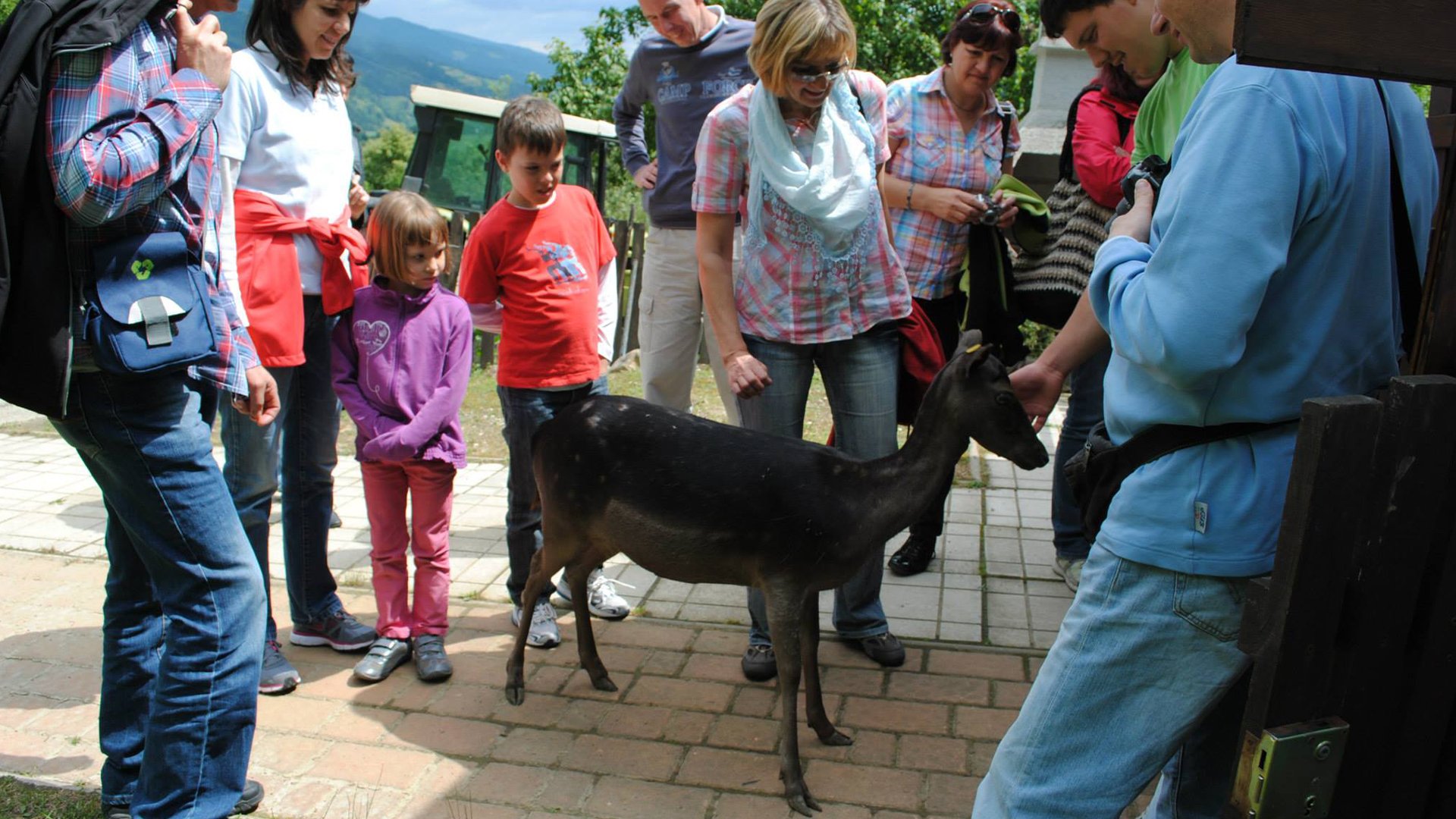 Obisk turistične kmetije Klančnik za 2 odrasli osebi