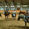 Ranch-Marina jahanje šport skupina druženje konj živali