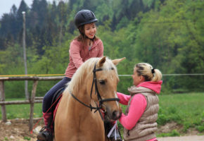 Palmolino jahanje šport adrenalin konj sprehod narava otroci