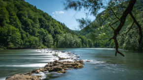 S kajakom po zeleni reki - Bela krajina Ethno experience (4h)