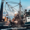 Tunana Fishing Charter - All Inclusive ribolov na modroplavutega tuna