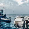 Tunana Fishing Charter - All Inclusive ribolov na modroplavutega tuna
