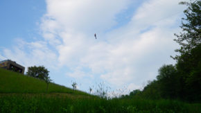 Zipline Maribor - Spust po jeklenici za odraslega in otroka