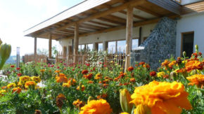 Eco vila Mila - 2x nočitev z zajtrkom in celodnevno kopanje in savne v Termah Olimia