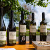 Fontana-vin gourmet adrenalin Maribor štajerska let polet zipline vino degustacija