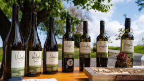 Fontana-vin gourmet adrenalin Maribor štajerska let polet zipline vino degustacija