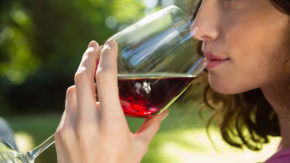 vino Kumar gourmet degustacija kulinarika domače lokalno primorska eko