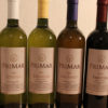 Ekološka domačija Kumar - Degustacija vina z domačim prigrizkom in 2 buteljkama vina za 4 osebe