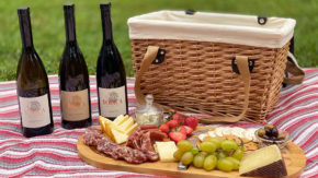 Rodica vino degustacija primorska eko lokalno vinogradništvo