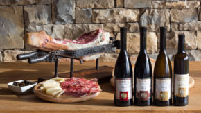 Rodica vino degustacija goumet eko vinogradništvo primorska domače lokalno