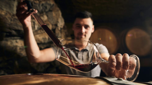 Vina Ferjančič - 6 buteljk vina po izbiri vinarja