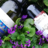 Vina Montis - Degustacija vin ob istrskem prigrizku