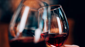 vino Polsak gourmet degustacija kulinarika vinogradi kmetija