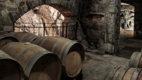 vino Polšak gourmet degustacija vinogradništvo kulinarika prigrizek Vipavska-dolina