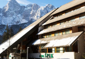 Hotel Špik - Privatna sprostitev v tematskih sobah alpskega wellnessa