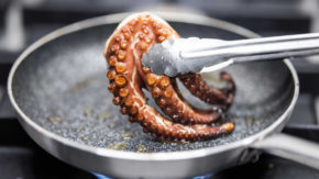 Kogo gourmet kulinarika Koper primorska vino degustacija morsko obala