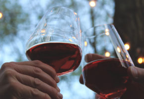 vino degustacija gourmet narava zdravo Radovljica gorenjska