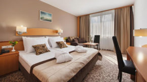 hotel Termal turizem wellness Moravske-toplice prekmurje savna spa masaža bazen zdravilno voda
