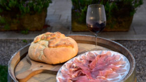 vinska-klet-Tavčar gourmet degustacija domače lokalno tradicija primorska vino olje