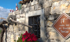 Vinska klet Tavčar