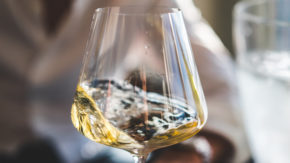 vino Tavčar-Solčava gourmet kulinarika degustacija vinska-trta narava Kras primorska