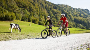 Altitude-activities turizem šport Bled gorenjska aktivnosti dogodivščina kolesarjenje kolo