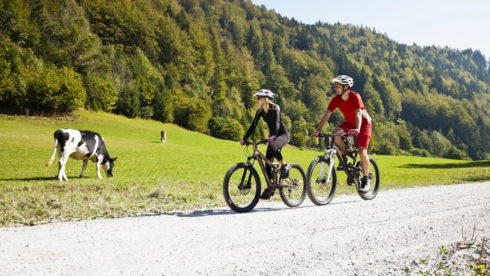 Altitude-activities turizem šport Bled gorenjska aktivnosti dogodivščina kolesarjenje kolo