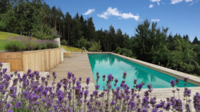 Lavender-hill turizem turizem nočitev sprostitev oddih bazen kopanje